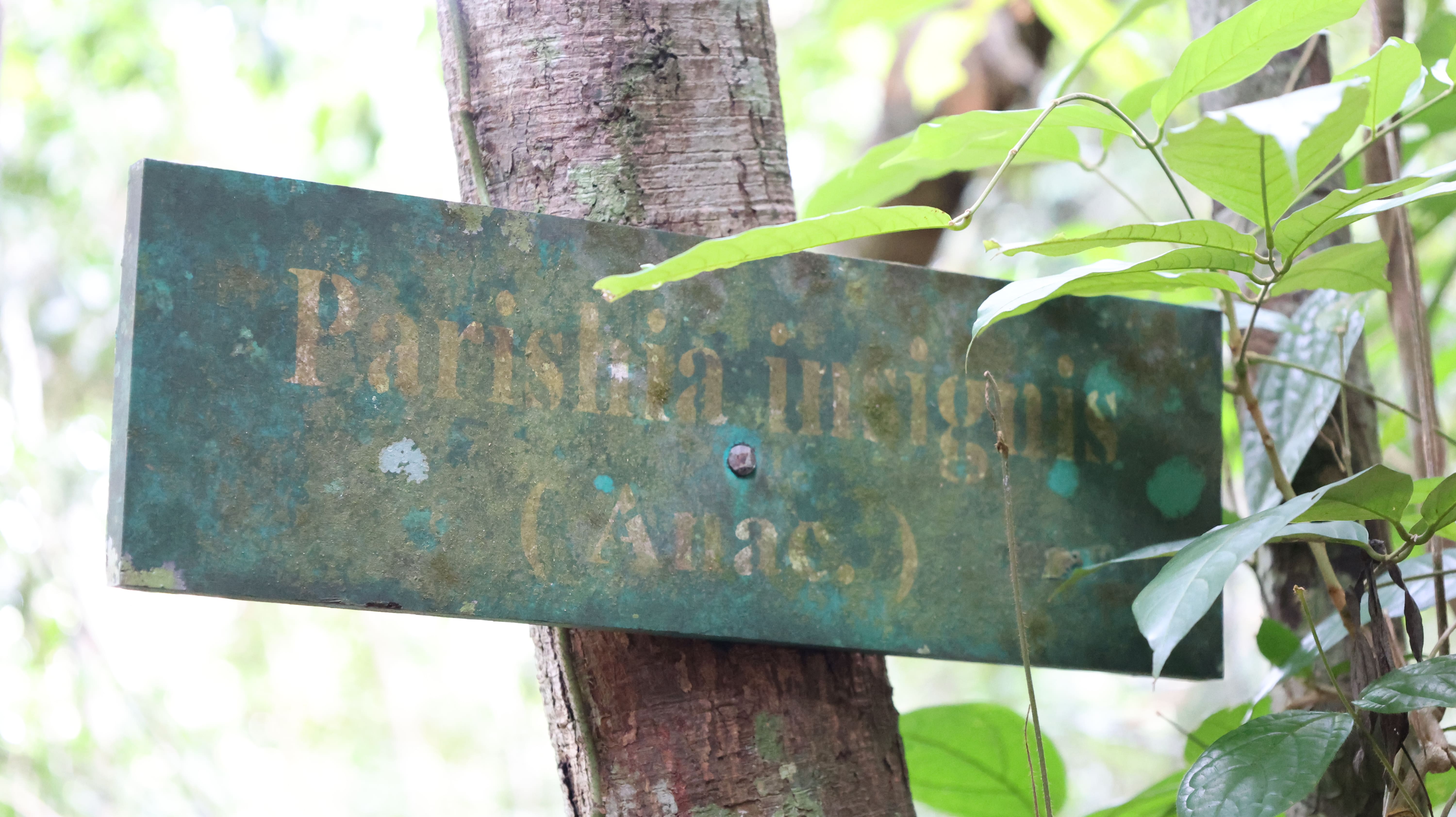 Wartono Kadri Photo 3