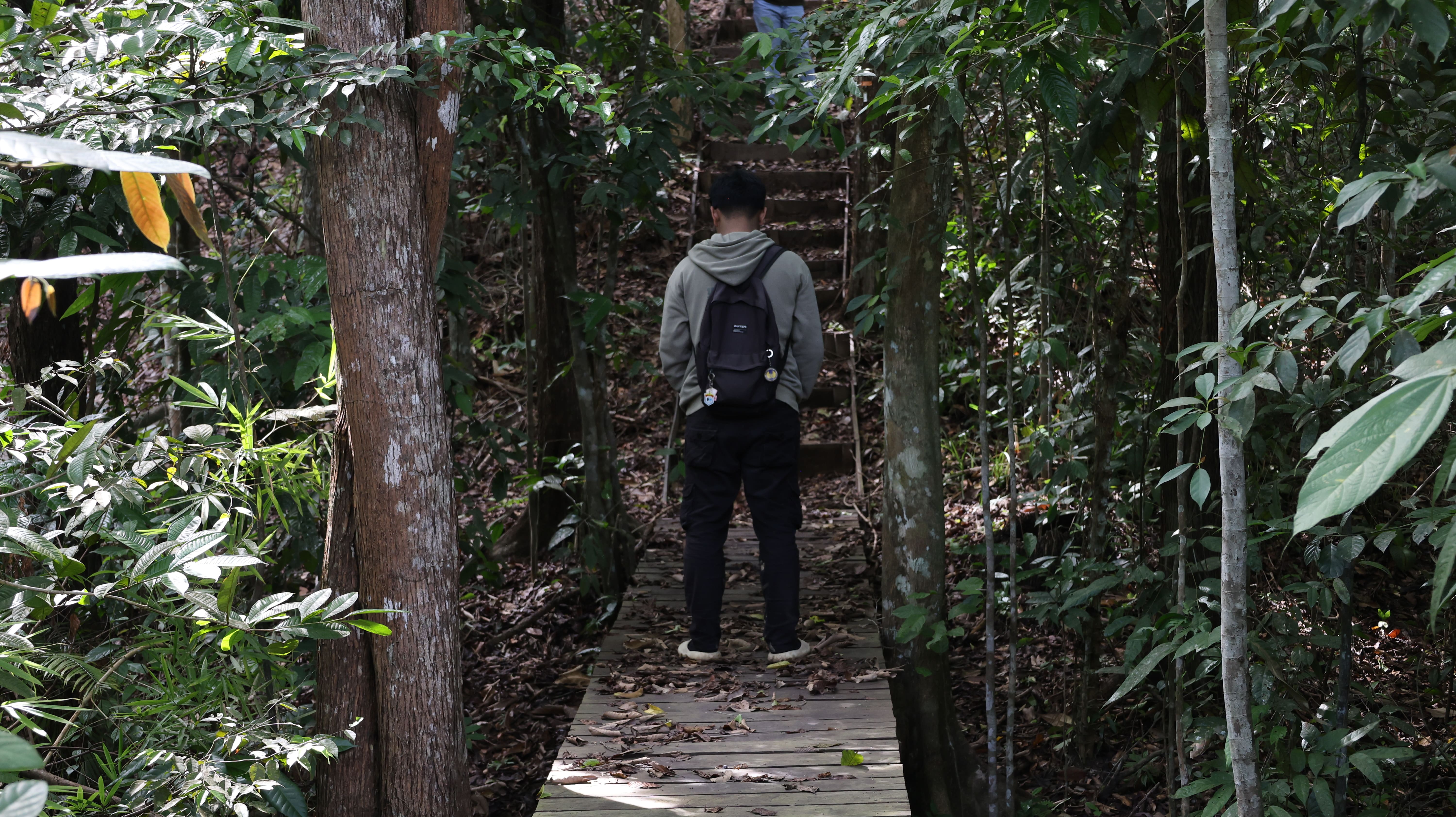 Jungle Run Track Photo 3